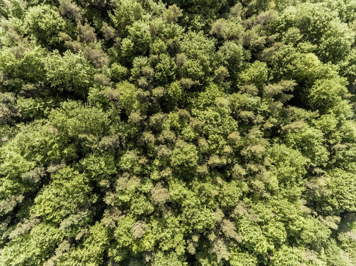 Hotel Lindenhof Hubmersberg Pommelsbrunn Dış mekan fotoğraf